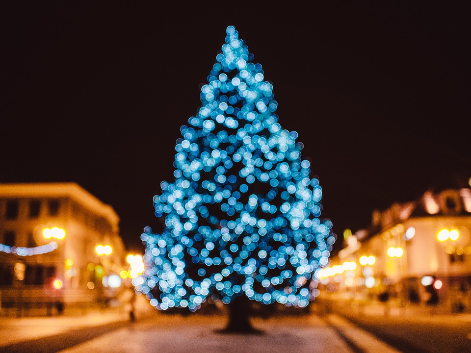 Foto Alberi Di Natale.Tipi Di Alberi Di Natale Artificiali E Naturali Pino Abete Monviso Silano Rotex