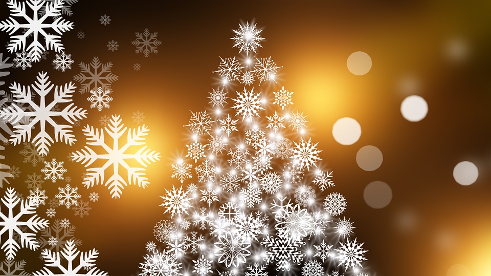 Albero Di Natale Origini.Da Dove Nasce La Tradizione Dell Albero Di Natale La Magia Del Natale Rotex